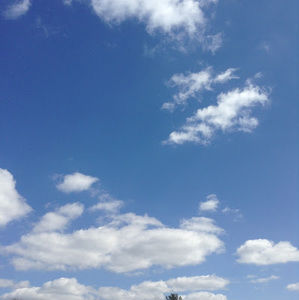 Meet your Posher, Makensie